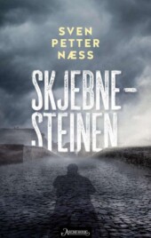 Bokomslag Skjebnesteinen