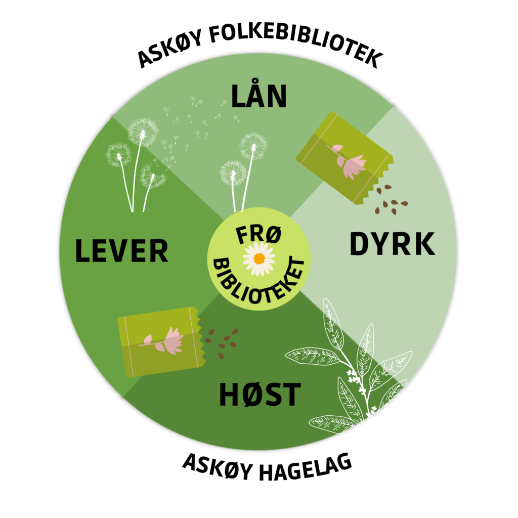 Logo Frøbiblioteket Askøy folkebibliotek