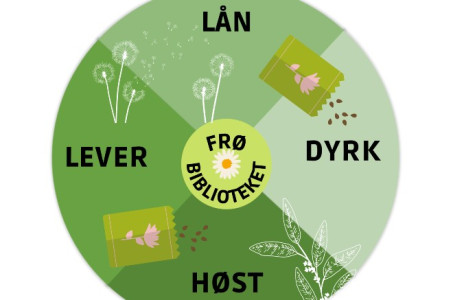 Logo Frøbiblioteket Askøy folkebibliotek